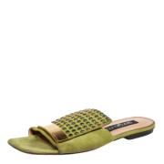 Sergio Rossi Pre-owned Pre-owned Mocka sandaler Green, Dam