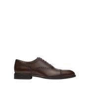 Lottusse Oxford Lenox Brown, Herr