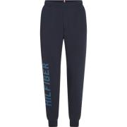 Tommy Hilfiger Blå Sport Joggers Regular Fit Blue, Herr