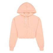 Champion Cropped Small Script Logo Hodie Hoodie Pink, Dam