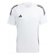 Adidas Tiro 24 T-shirt White, Herr