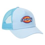 Dickies Sumiton Cap Blue, Unisex