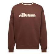 Ellesse Regno Hoodie Brown, Herr