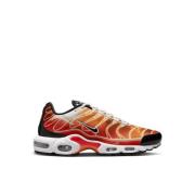 Nike Klassiska Air Max Plus Sneakers Multicolor, Herr