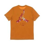 Jordan 3D Logo Crew Neck T-Shirt Orange, Herr