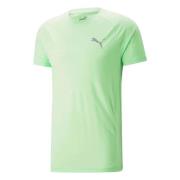 Puma Evostripe T-shirt Green, Herr