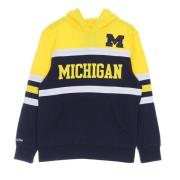 Mitchell & Ness Michigan State Spartans Hoodie Multicolor, Herr