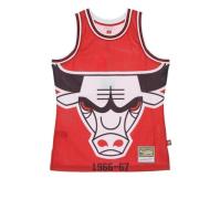 Mitchell & Ness Chicago Bulls Basketboll Tanktop Red, Herr