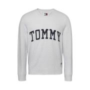 Tommy Jeans Stiligt Stickat för Män Gray, Herr