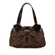 Louis Vuitton Vintage Pre-owned Plast louis-vuitton-vskor Brown, Dam