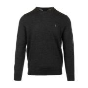 Ralph Lauren Tröjor Gray, Herr