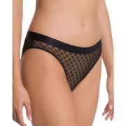 Wolford Brun Sheer Logo Monogram Briefs Brown, Dam