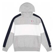 Champion Hoodie Gray, Herr