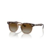 Ray-Ban Klassiska Solglasögon Brown, Unisex