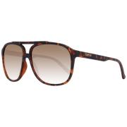 Guess Herr Aviator Solglasögon Brun Gradient Brown, Herr