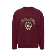 Tommy Jeans Bomull Crewneck Tröja med Broderat Emblem Brown, Herr