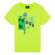 Champion Rundhalsad T-shirt Green, Herr