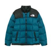 The North Face Stiliga Vinterjackor för dig Blue, Herr