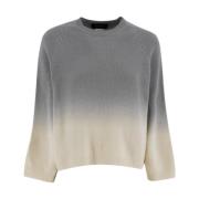 Fabiana Filippi Platinum Oversized Crew-Neck Sweater Gray, Dam