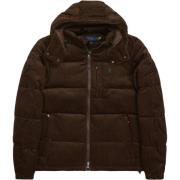 Ralph Lauren Piumino Corduroy Brown, Herr