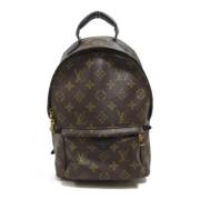 Louis Vuitton Vintage Pre-owned Canvas ryggsckar Brown, Dam