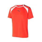 PUMA Röd Raglan T-shirt med Meshinsats Red, Herr