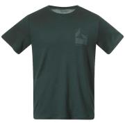 Bergans Men's Rabot Mount Wool Tee Duke Green