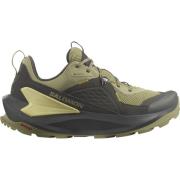 Salomon Men's Elixir GORE-TEX Black/Dried Herb/Southern Moss