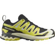 Salomon Men's XA Pro 3D V9 GORE-TEX Black/Sulphur Spring/Pewter