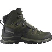 Salomon Men's Quest 4 Gore-Tex Olive Night/Peat/Safari