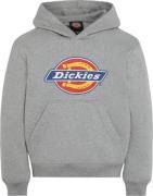 Dickies Youth Logo Hoodie Heather Gray