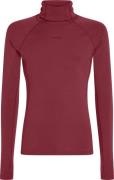 Icebreaker Men's Merino 300 Merinofine™  Polar Longsleeve Roll Neck Po...