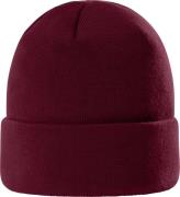 The North Face Dock Worker Recycled Beanie Beetroot