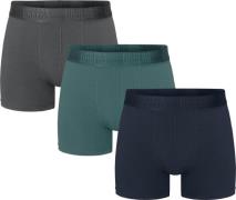 Urberg Men's Isane 3-pack Bamboo Boxers Multi Color