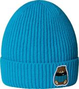 The North Face Kids' TNF Logo Box Cuffed Beanie Meridian Blue/nuptse B...