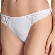 Calida Trosor Natural Comfort Lace Thong Vit bomull Small Dam