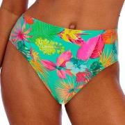 Freya Isla Margarita High Waist Brief Jadegrön Small Dam