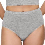 Triumph Trosor Beauty Layers Wool Maxi Brief Grå ull Small Dam