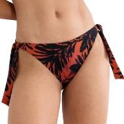 Triumph Summer Palm Tai Bikini Bottom Flerfärgad 38 Dam