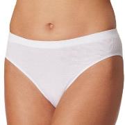 Schiesser Trosor Pure Rib Organic Cotton Rio Briefs Vit 38 Dam