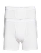 Jbs Tights 2-Pack Organic Boxerkalsonger White JBS