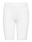 Decoy Decoy Shorts Viscose Stretch Vit