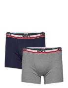 Levi´s Levis Men Sprtswr Logo Boxer Brief Multi/patterned