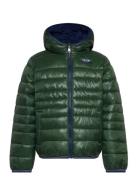 Levi's Levi's® Sherpa Lined Puffer Jacket Grön