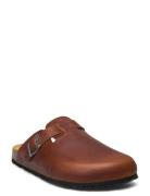 Carter Slippers Tofflor Brown Axelda