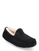 M Ascot Slippers Tofflor Black UGG