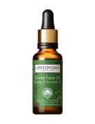 Antipodes Divine Rosehip & Avocado Face Oil Nude