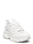 Steve Madden Jpossession Sneaker Vit