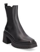 Parkway Bootie Shoes Chelsea Boots Black Steve Madden