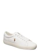 Polo Ralph Lauren Longwood Leather Sneaker Vit